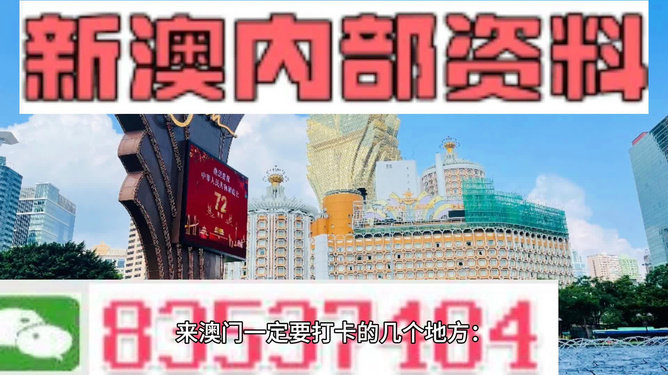 2025年新澳门和香港正版精准免费大全，全面释义解释与落实展望