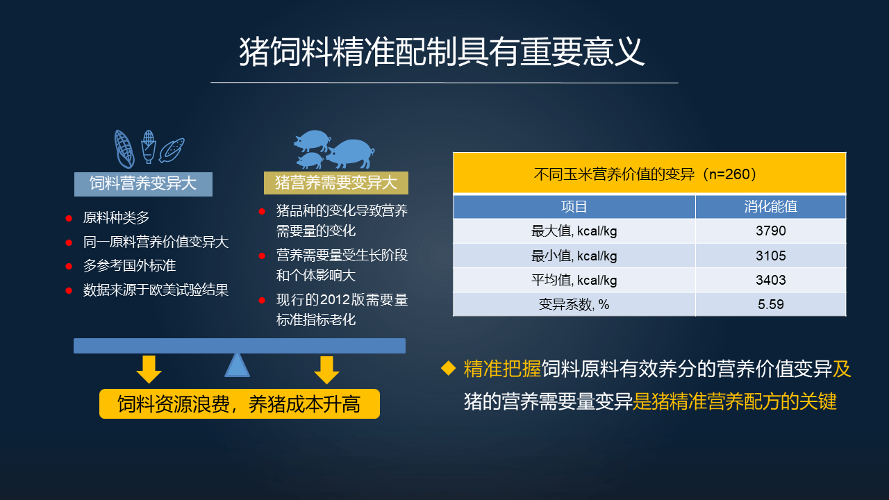 新奥精准免费奖料提供-详细解答、解释与落实